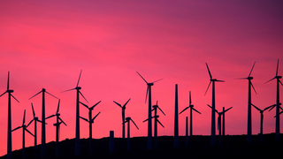 Jay Inslee's Climate Team Dropped a Roadmap for a Post-Coronavirus Green Recovery